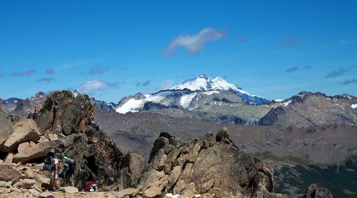 Exotics, Central and South America